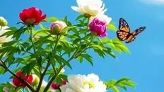 فال حافظ 27 اردیبهشت 1404 + فیلم