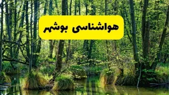 هواشناسی بوشهر ۲۴ ساعت آینده | پیش بینی وضعیت آب و هوا بوشهر فردا دوشنبه ۲۹ اردیبهشت ۱۴۰۴