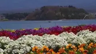 فال روزانه 29 اردیبهشت + فیلم