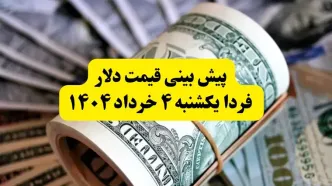 پیش بینی قیمت دلار فردا ۴ خرداد ۱۴۰۴ | نوسان قیمت‌ها ادامه دارد؟