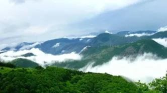 جنگل دیزمار ورزقان ؛ عروس زیبای کوه‌های آذربایجان