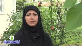 خبر فوری هواشناسی گلستان ۱۷ اردیبهشت اعلام شد | پیش بینی وضعیت آب و هوا گلستان فردا چهارشنبه ۱۷ اردیبهشت ماه ۱۴۰۴ + هواشناسی گرگان