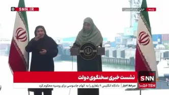 واکنش مهاجرانی به بازگشت بابک زنجانی به فعالیت‌های اقتصادی