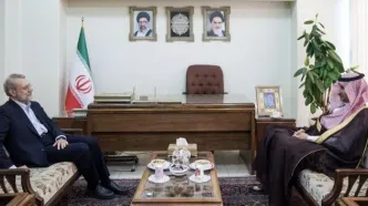 دیدار مشاور وزیر خارجه عربستان با مشاور رهبری انقلاب