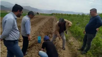 احداث اولین باغ سازگار در شهرستان ورزقان