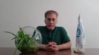 قیمت بیت کوین و ارزهای دیجیتال در روز دوشنبه ۲۹ اردیبهشت ماه ۱۴۰۴ + ویدئو
