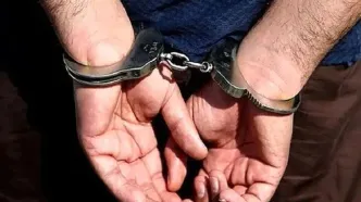 دستگیری سارق سکه‌ها و نسخه‌های تاریخی مقبره شاه نعمت الله ولی ماهان