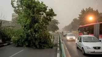 هواشناسی استان تهران اطلاعیه داد