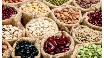 دلیل اصلی افزایش قیمت حبوبات مشخص شد