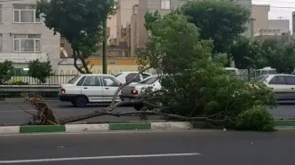 فوتی‌های طوفان در تهران به ۹ نفر افزایش یافت