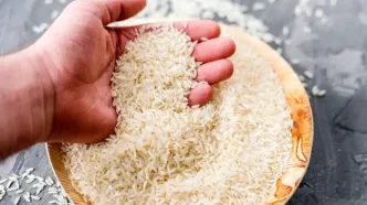 برنج با قیمت جدید به بازار رسید - ۳ خرداد ۱۴۰۴