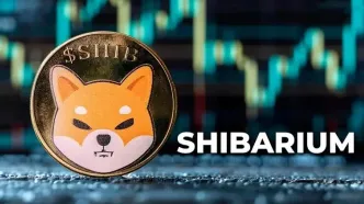 تعداد کیف‌پول‌های شیباریوم از ۲۰۰ میلیون گذشت! زمان جهش قیمت SHIB فرا رسیده؟
