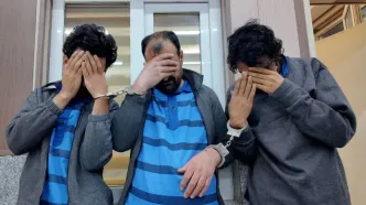 موبایل قاپ حرفه ای تجریش توسط پلیس زمینگیر شد