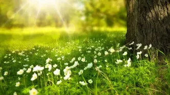 تفال به حافظ شنبه ۲7 اردیبهشت ۱۴۰۴؛ ای صبا گر بگذری بر ساحل رود ارس......