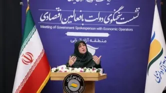مهاجرانی: کاش کمتر مانع تولید می‌شدیم!