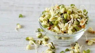 جوانه ماش؛ بمب ویتامین و پروتئین | طرز تهیه جوانه ماش در خانه