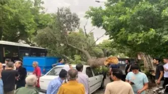 خسارت تندباد ۸۰ کیلومتری در بجنورد+تصاویر