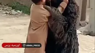 تصاویری ببینید از رفاقت عجیب کودک اهل زاهدان با خرس سیاه بلوچی