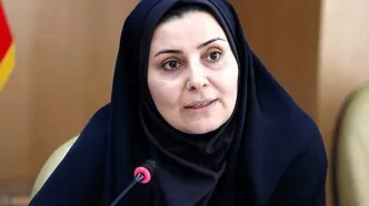 گناه همه وزارتخانه‌ها را گردن فرزانه صادق نیندازید!