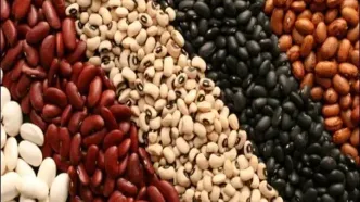 قیمت لوبیا در بازار هم‌قیمت گوشت شد