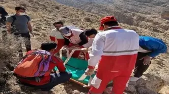 برداشت گیاهان کوهی در آذربایجان غربی قربانی گرفت