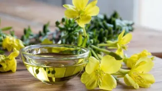 روغن گل مغربی چه فایده‌ای دارد؟