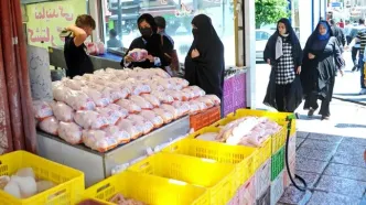 قیمت گوشت مرغ امروز دوشنبه ۲۹ اردیبهشت ۱۴۰۴