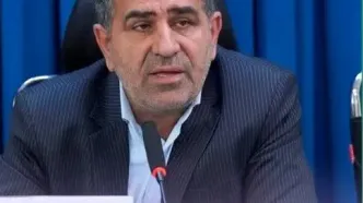 مجلس پیگیر بازگشت مزیت‌های اقتصادی به مناطق آزاد است