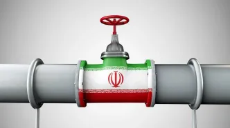 ایران پوزه تولیدکنندگان نفت حاشیه خلیج فارس را به خاک مالید