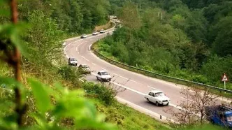 لحظاتی که جاده چالوس تبدیل به یک رویا شد!