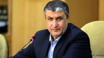 اسلامی: سازمان انرژی اتمی ایران به رتبه عالی رسید
