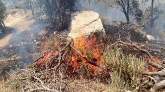 پاسخ به شایعات مبنی بر تداوم آتش‌سوزی در آرادکوه