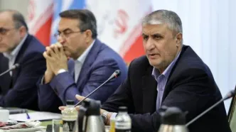 اسلامی: کارآمدی دولت در گرو تعامل و هم‌افزایی مستمر بین دستگاه‌های اجرایی است
