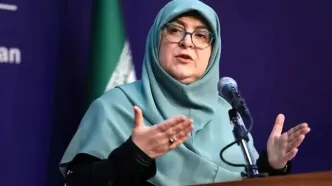 واکنش دولت به بازداشت ایرانیان در انگلیس