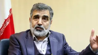 کمالوندی: ایران تنها کشوری نیست که غنی سازی می‌کند و سلاح هسته ای ندارد