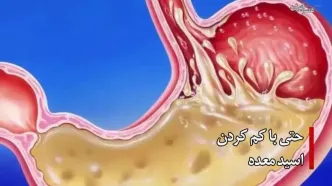 ببینید؛ خواص وممنوعیت های رزماری؛ چیزهایی که درباره این گیاه نمی‌دانید