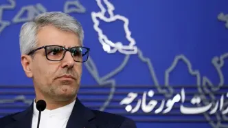 بقائی: مصمم به صیانت از حقوق و منافع عالیه ملت ایران هستیم