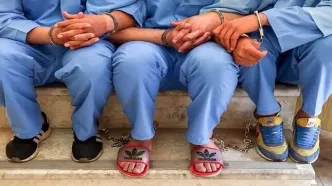 دستگیری ۸ سرشاخه اصلی یک شرکت هرمی با ۱۷ هزار عضو