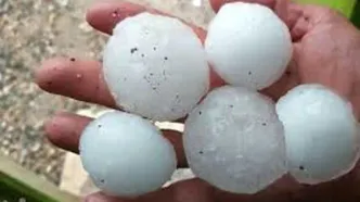 تصاویر خسارات سنگین تگرگ گردویی