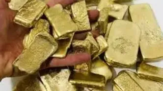 شناسایی فرار مالیاتی ۳۲۰ میلیارد ریالی در بازار سکه و طلای آبشده