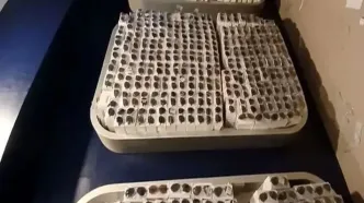 سلطان عینک بازداشت شد
