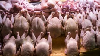 گوشت مرغ با قیمت جدید به بازار سرازیر شد (۲۲ اردیبهشت)