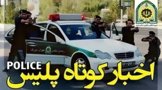 از انهدام باند سارقان احشام تا تشریح علل تصادفات برون شهری در مازندران
