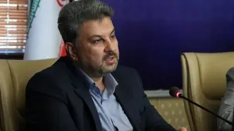 مدیر عامل توانیر: مدیریت سهمیه قطعی برق به استان‌ها واگذار شد