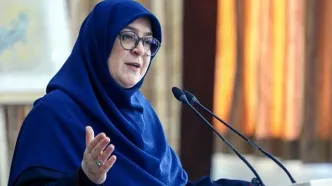 واکنش سخنگوی دولت به تصویب لایحه پالرمو