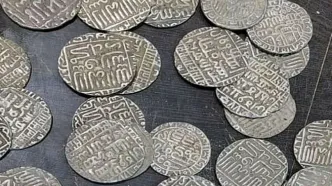 گنج سکه‌های علاءالدین در خانه یک معلم کشف شد