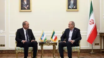 دیدار نخست وزیر ازبکستان با رئیس‌جمهور