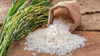 قیمت برنج ایرانی امروز ۱۸ اردیبهشت ۱۴۰۴