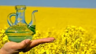 خبر خوش برای بازار روغن/ قیمت روغن کاهشی می‌شود؟