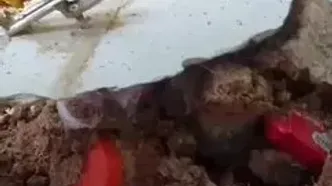 حادثه برای خوابگاه‌ دانشگاه تهران